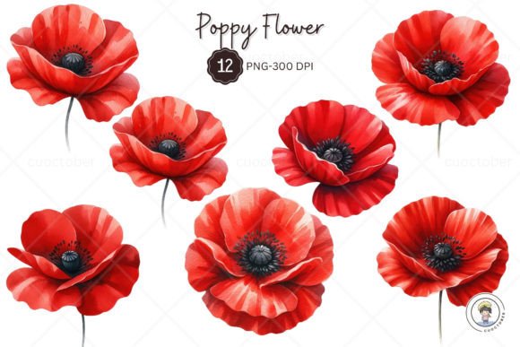 Download Watercolor Red Poppy Flower Clipart - Art Collection