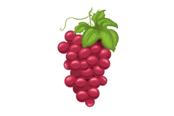 Download Grape Red Cartoon Vector Illustration - Art Collection