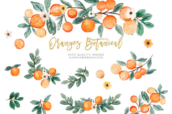 Download Orange Summer Clipart, Citrus Clipart - Art Collection
