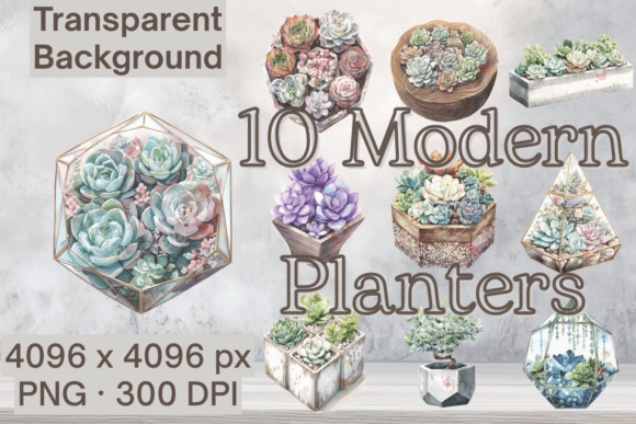 Download Geometric Succulent Terrarium Clip Art - Art Collection