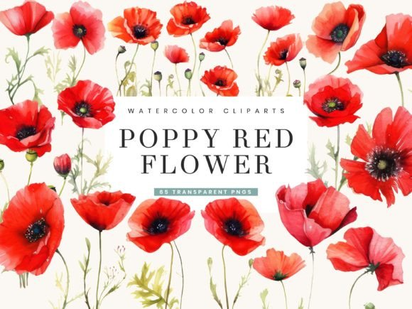 Download Poppy Red Flowers Clipart Bundle - Art Collection